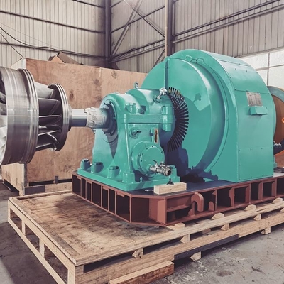 50 anni installazione verticale/orizzontale generatore di turbina idrica senza spazzole/silicio statico
