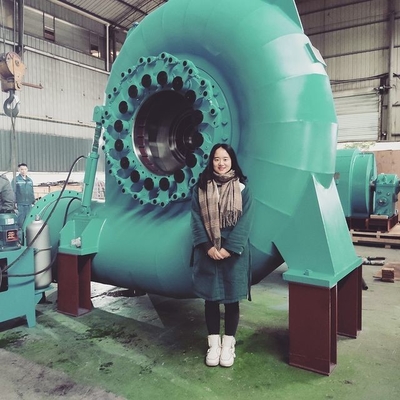 Generatore di turbina ad acqua senza spazzole verticale / orizzontale 50Hz/60Hz con controllo manuale automatico