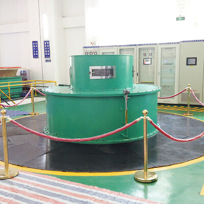 Fino a diversi MW di generatore di turbine di tipo Pelton Opzioni di colore verde e blu personalizzate per sistemi idroelettrici