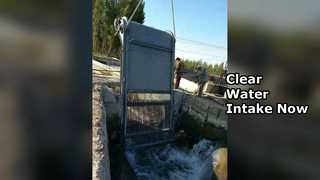 Pulitore per griglie a motore