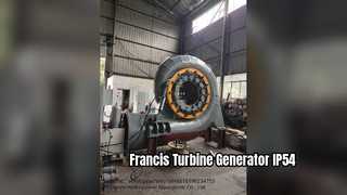 Generatore a Turbina Francis IP54 Orizzontale Verticale